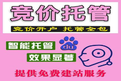 SEM账户管理技巧与案例分析